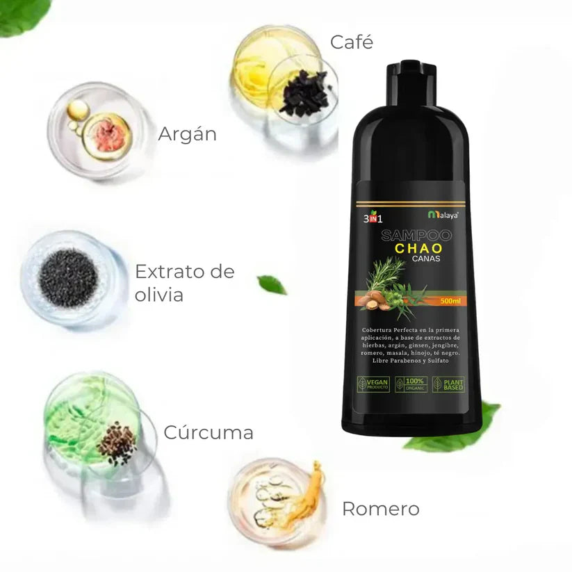 ¡Adiós Canas! Shampoo 3 en 1 + Tratamiento de Regalo 🎁(POCAS UNIDADES❌)